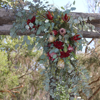 Picture of Native Seasonal Burgandy | Arbor