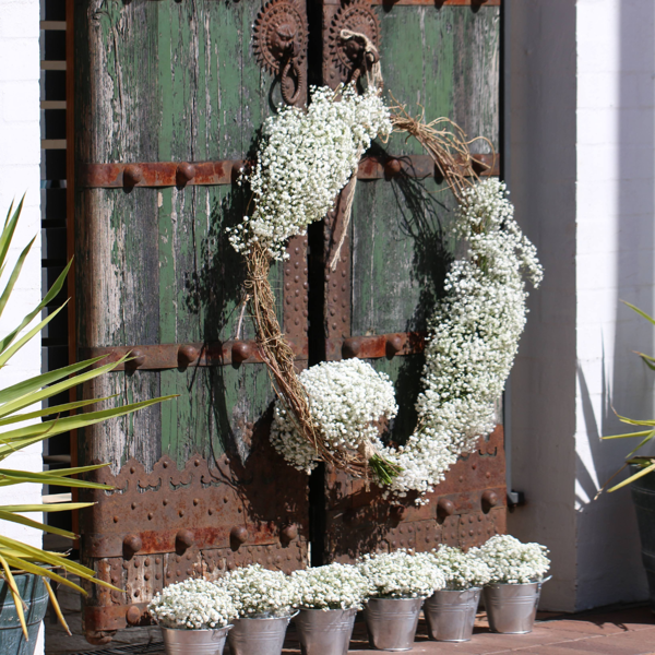 Babies Breath Bouquets & Decor