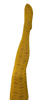 ‘Deco Mustard’ Merino Wool Tights | Tightology